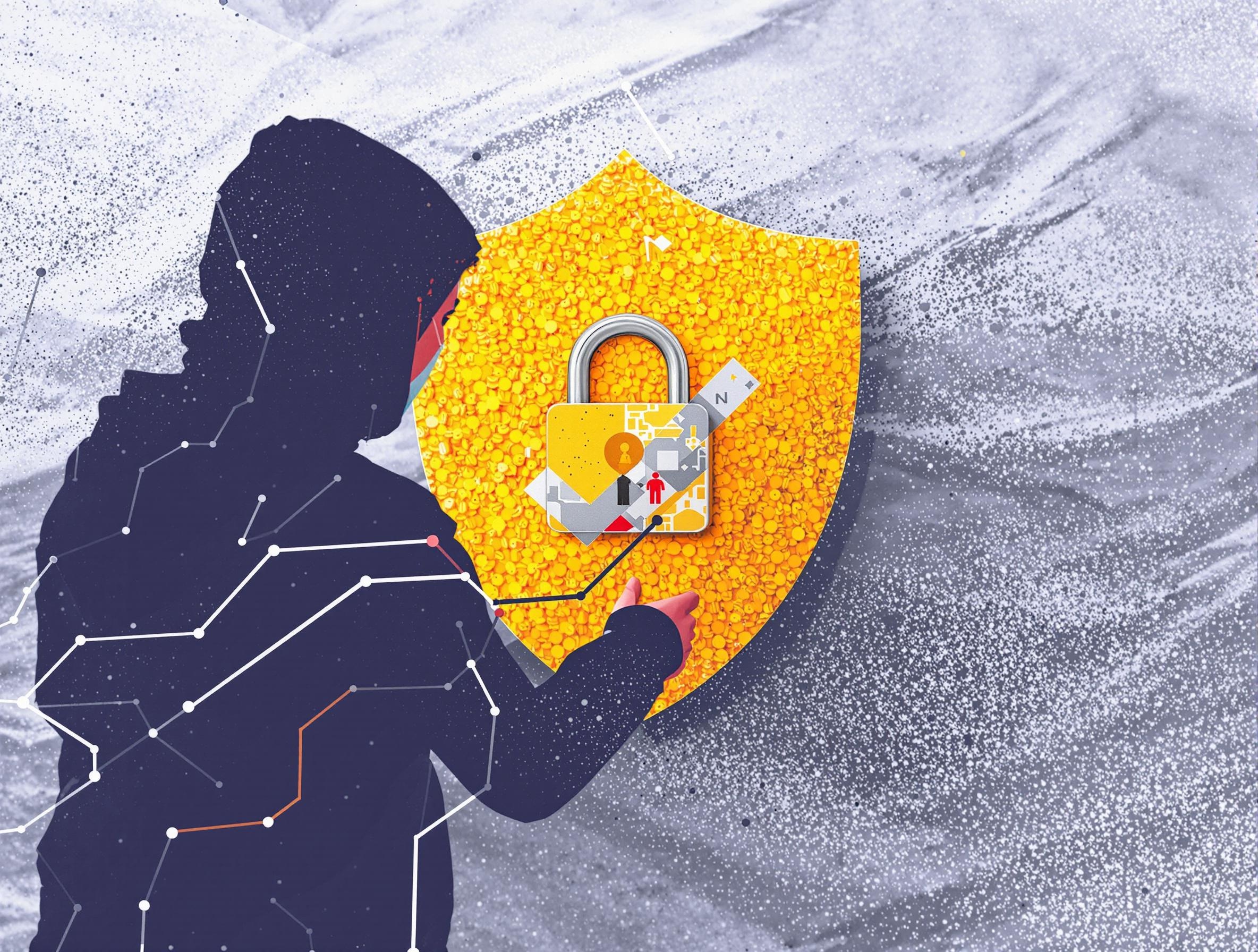 Seguridad protección datos privacidad